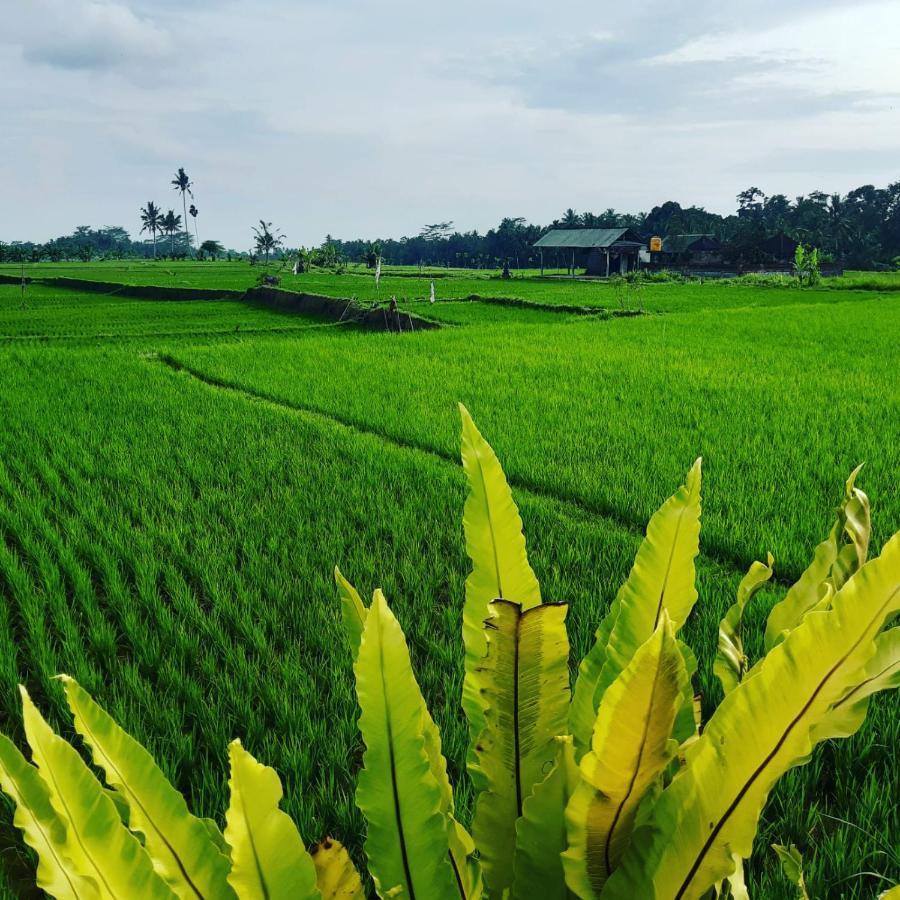 Villa Popolan And Guest House Ubud Exterior foto