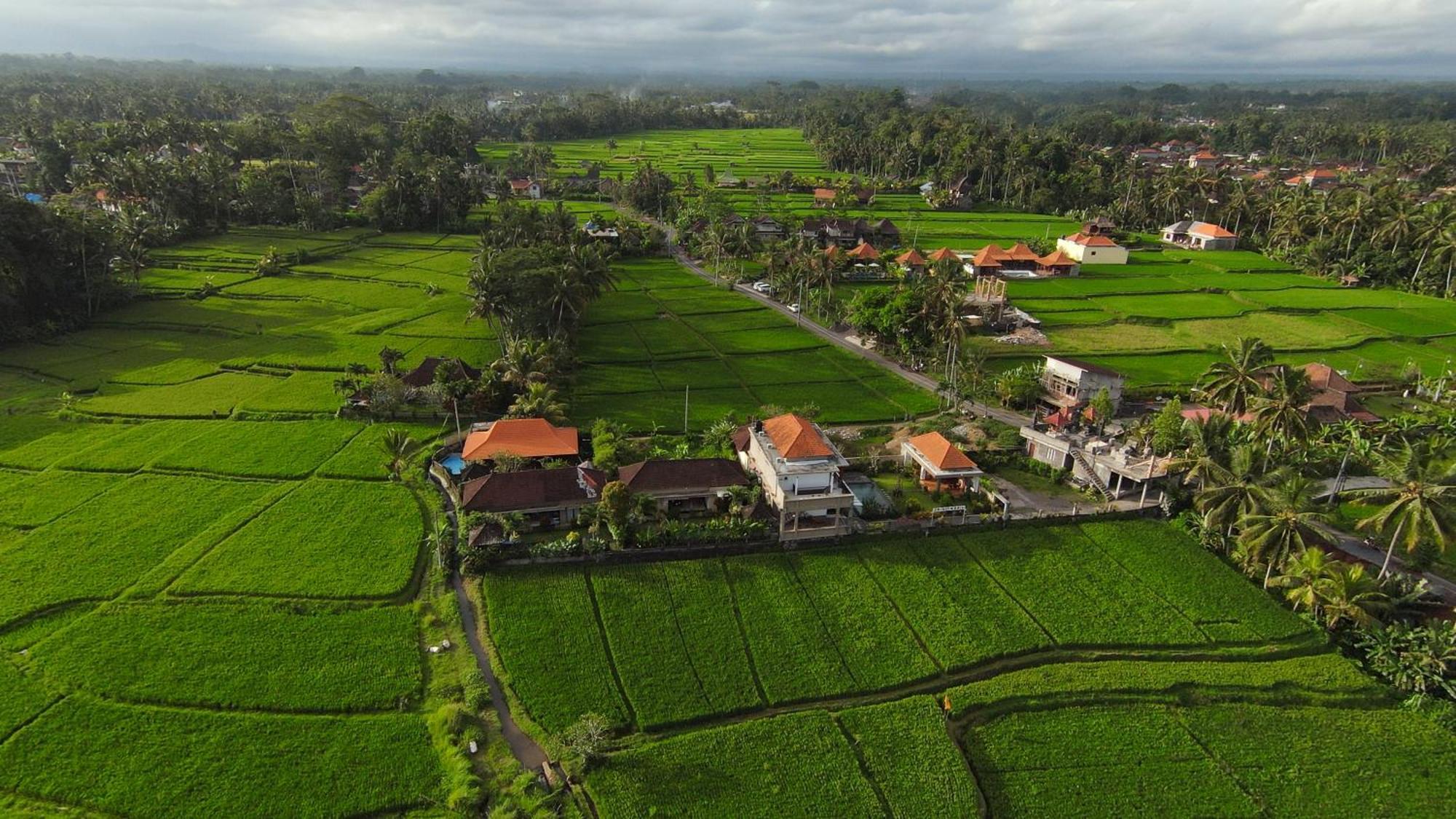 Villa Popolan And Guest House Ubud Exterior foto